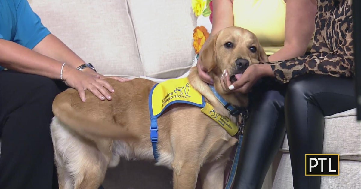 PTL Pupdate: Pups go to the Pirates game - CBS Pittsburgh
