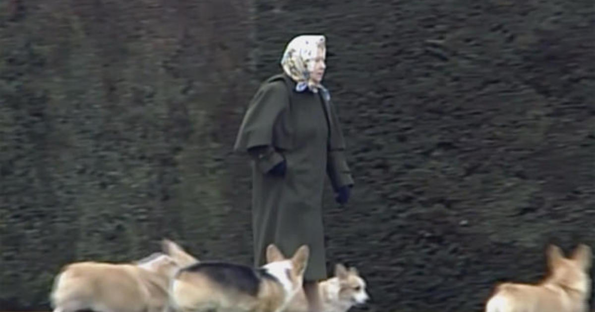 Just in Time for the Queen's Platinum Jubilee, We Give You 'Corgis