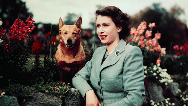 Queen Elizabeth in Garden with Dog 