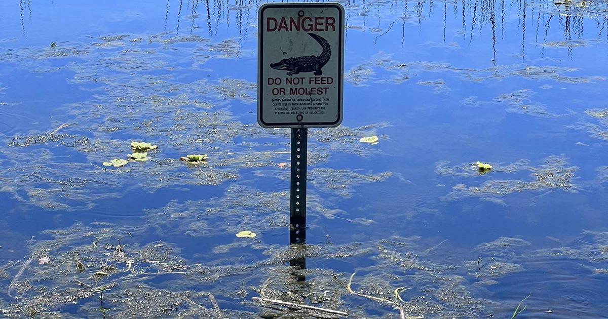 Man found dead in gator-infested lake was missing 3 limbs, Florida police say