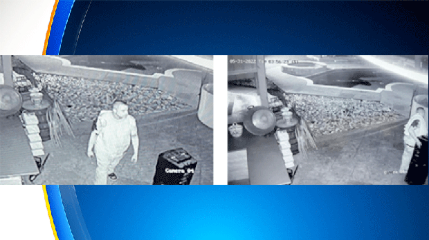 burglar2.gif