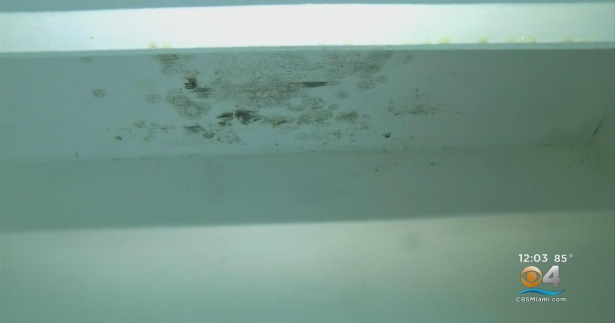 Coral Springs families forced out after excessive water damage from weekend’s storm