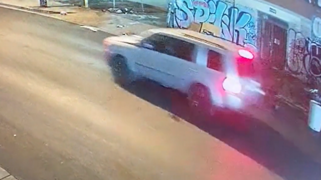 DTLA hit-and-run 