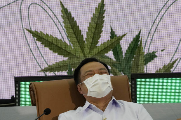 Thailand Cannabis 