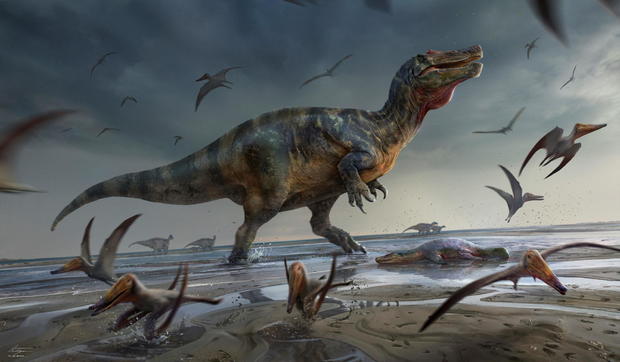 Artist's illustration shows a large meat-eating dinosaur dubbed the "White Rock spinosaurid," 