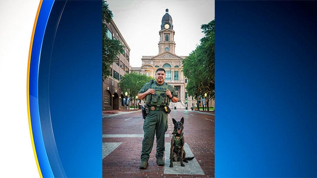tarrant-county-k9.jpg 
