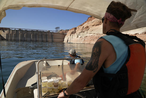 Colorado River Imperiled Fish 