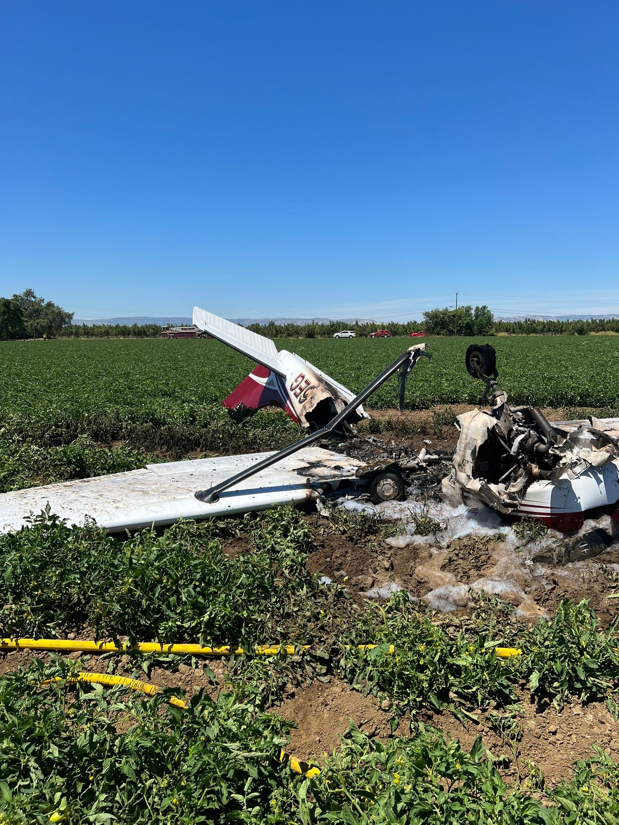 IN PHOTOS Pilot Walks Away With Minor Injuries After Small Plane Crash