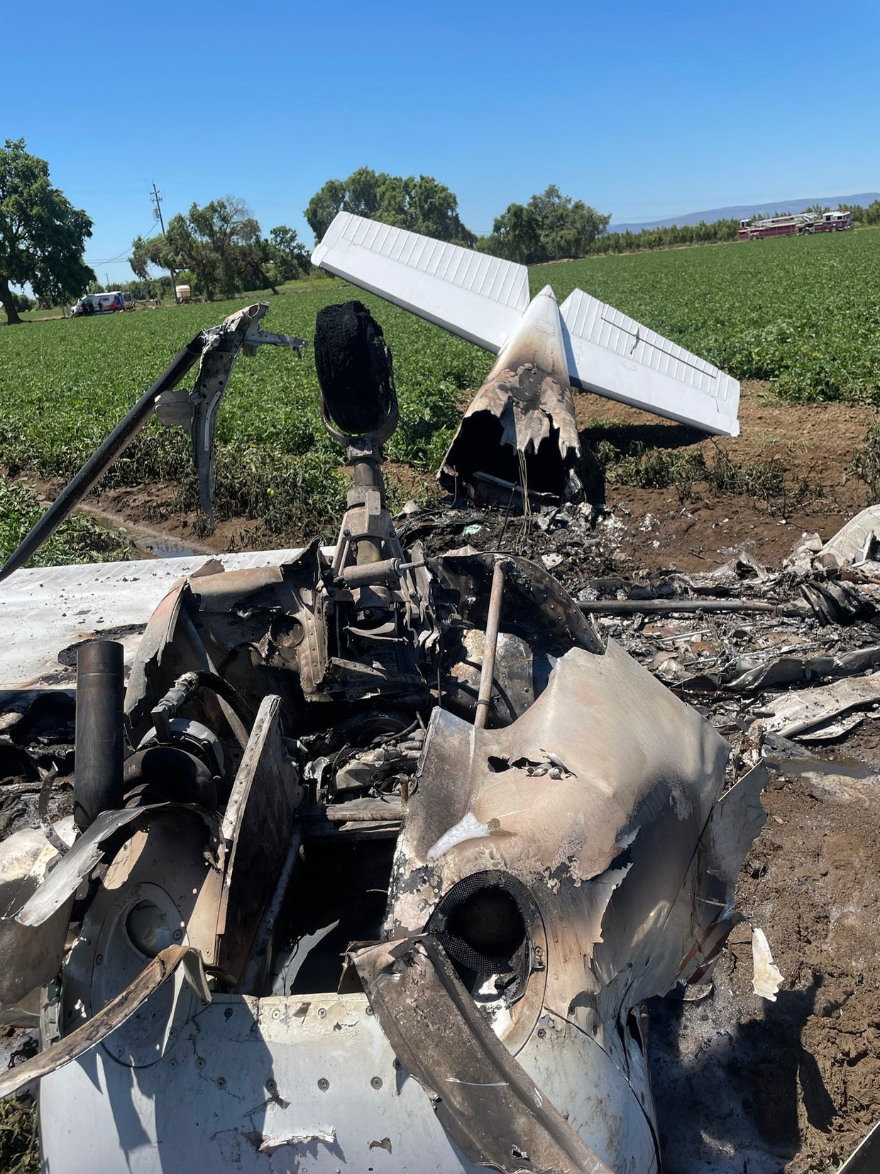 IN PHOTOS Pilot Walks Away With Minor Injuries After Small Plane Crash
