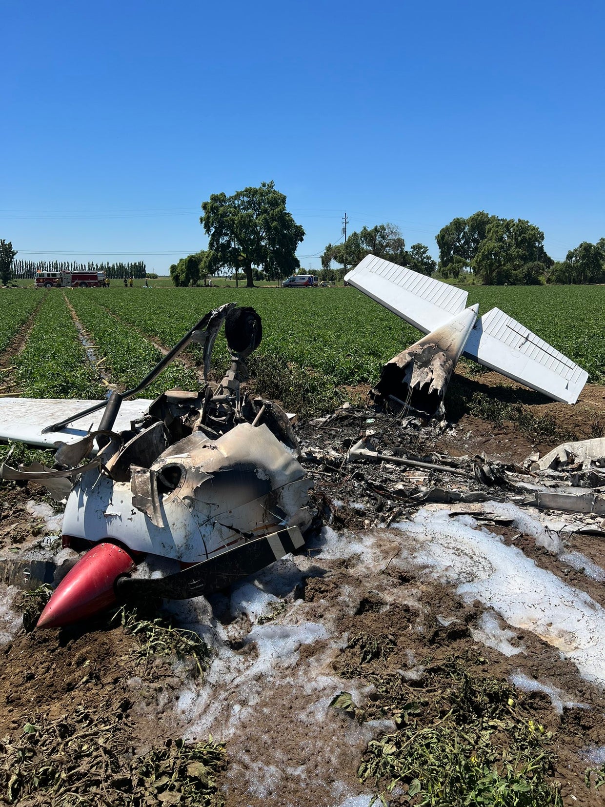 IN PHOTOS Pilot Walks Away With Minor Injuries After Small Plane Crash
