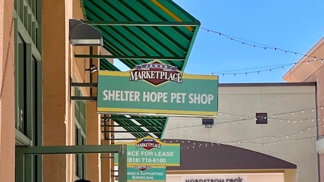 shelter-hope-pet-shop.jpg 