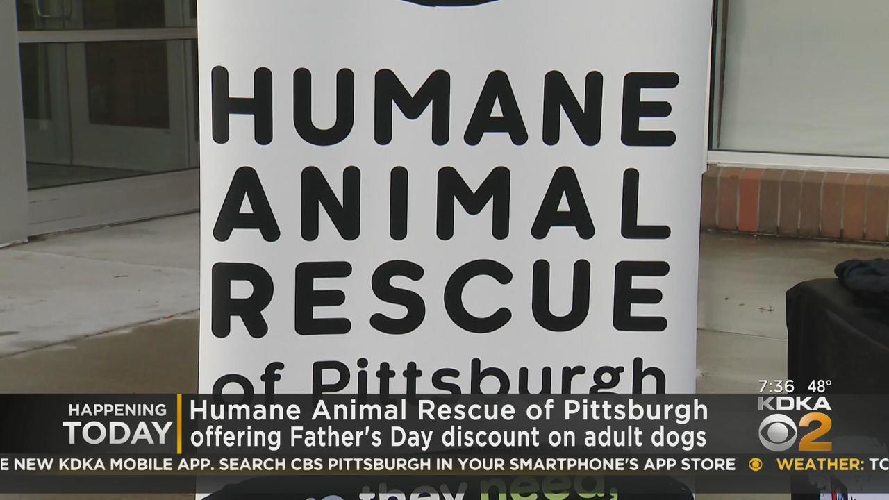 Humane Animal Rescue of Pittsburgh celebrates Father's Day with dog adoption  discount - CBS Pittsburgh