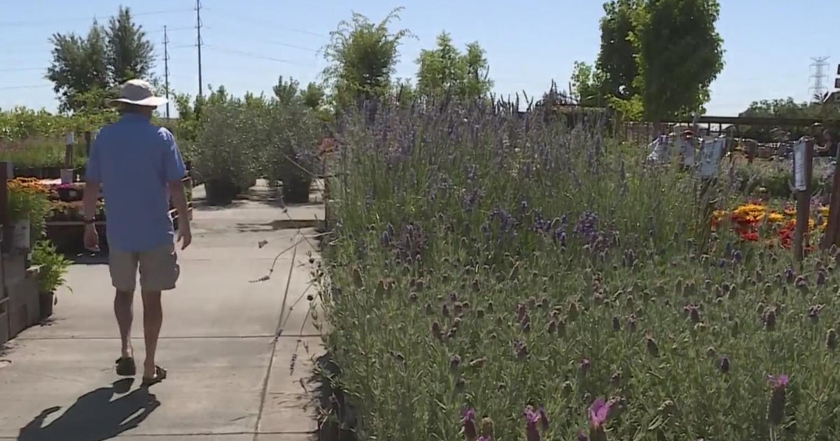 Central Valley Nurseries Seeing Growing Demand For DroughtTolerant