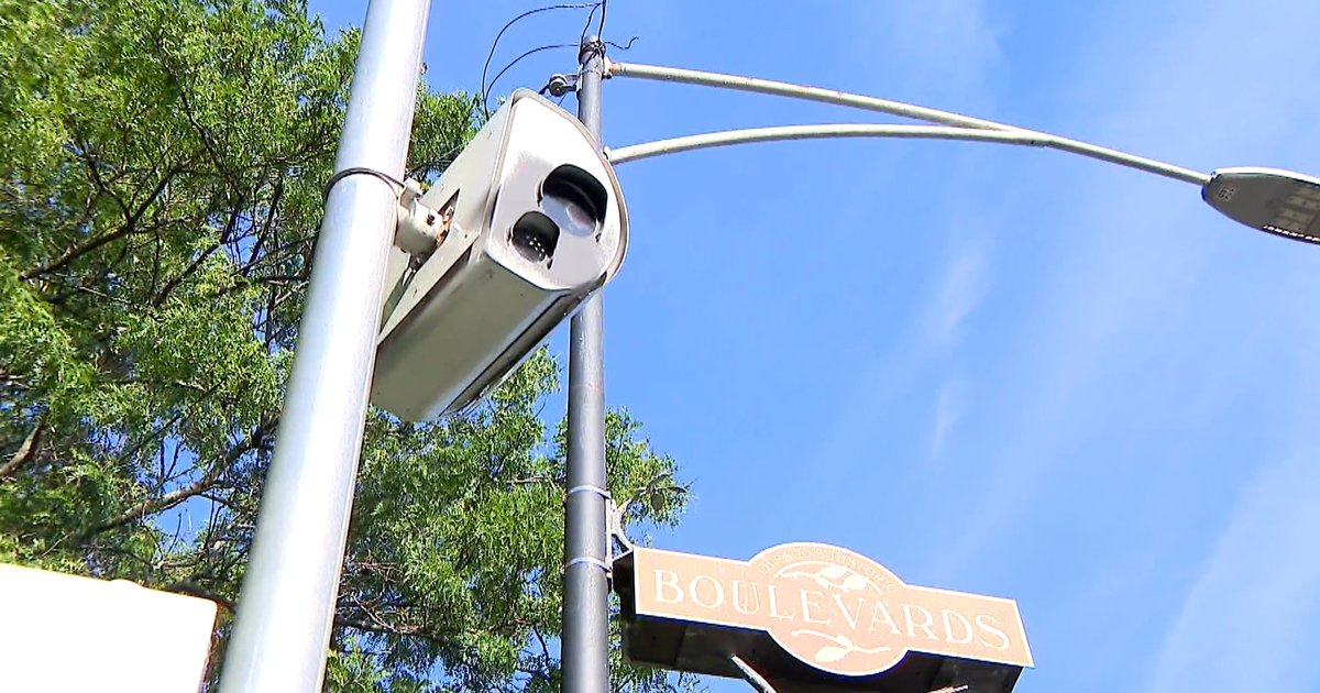 Community organizations are calling for speed cameras in California