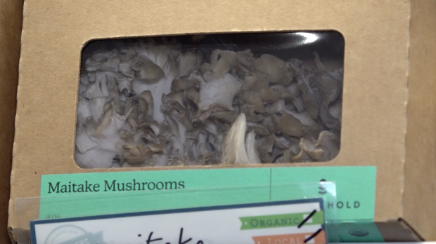 packaged-mushrooms.png 