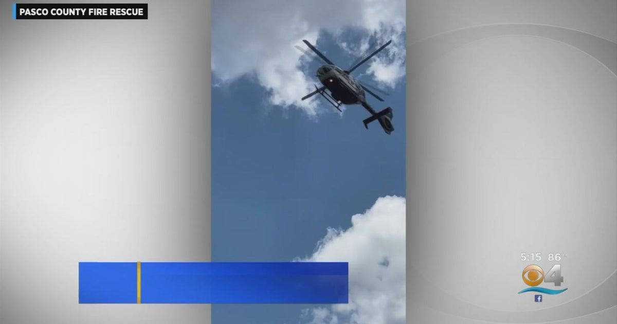 Florida child stabbed in chest by catfish barb while fishing CBS Miami