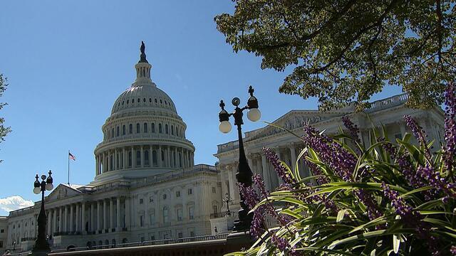 0622-ctm-gunlegislation-okeefe-mid-1081154-640x360.jpg 