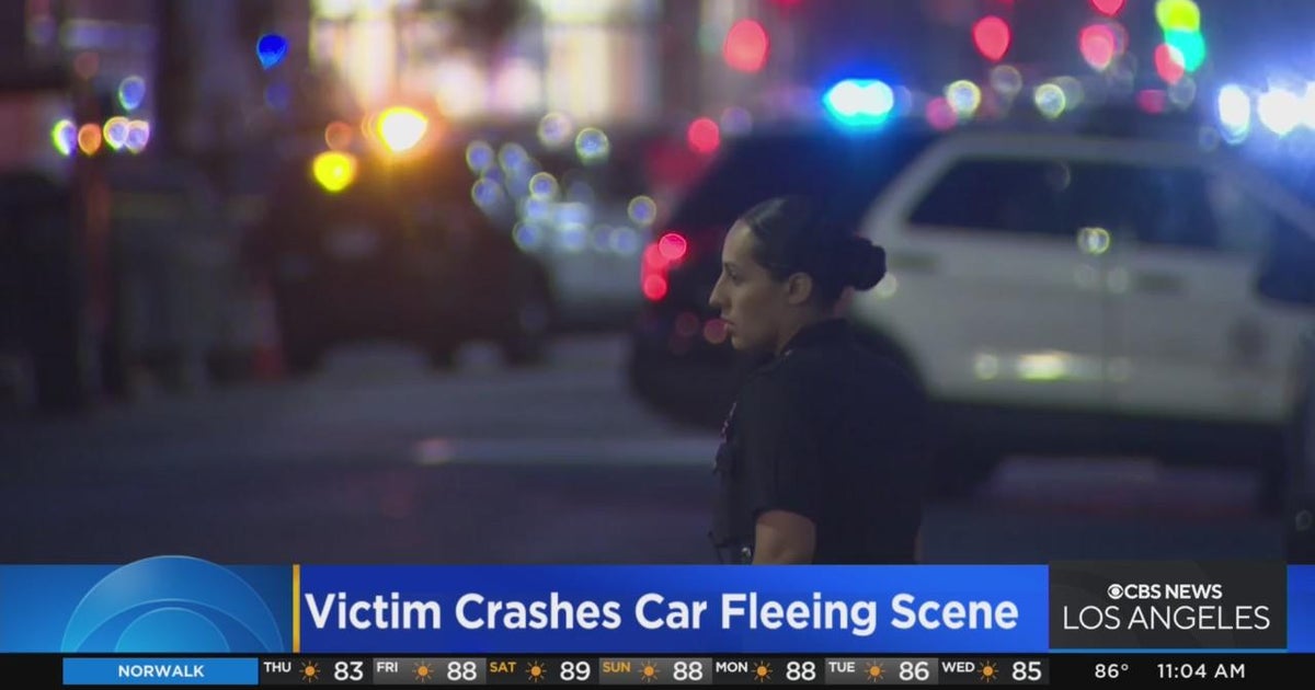 Investigation continues after man fatally shot in Hollywood crashes car ...