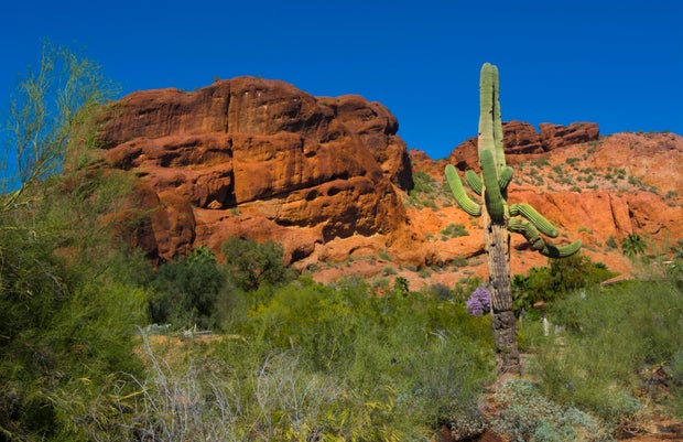 Phoenix Arizona famous Camelback Mountain in middle of town with cactus and expensive real estate for homes 