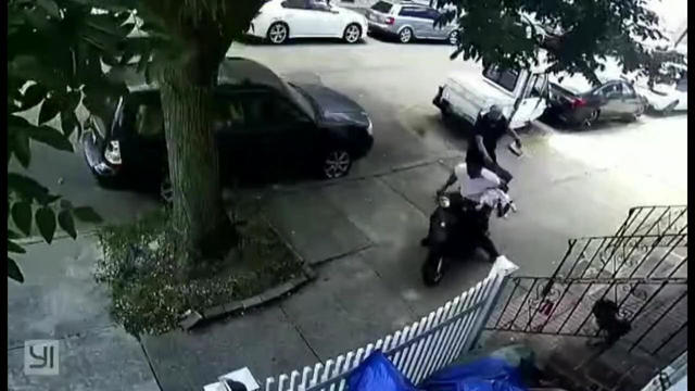 man-on-scooter-steals-dog.jpg 