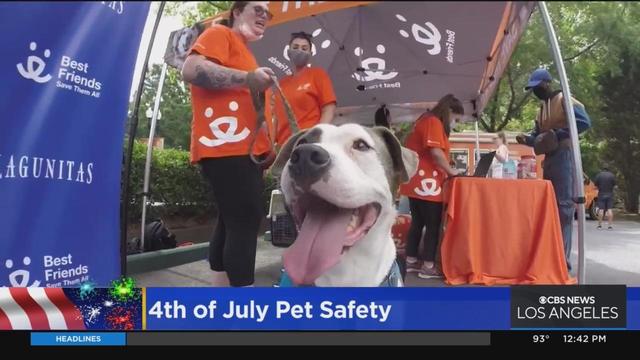 How to keep your pets safe over the July 4th weekend 