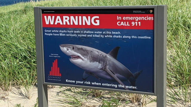 shark-warning.jpg 