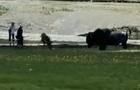 cbsn-fusion-bison-attacks-family-in-yellowstone-national-park-thumbnail-1096679-640x360.jpg 