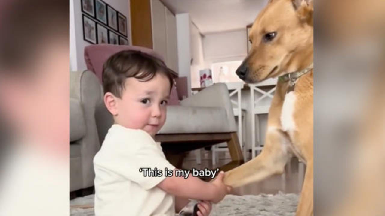 Toddler shares sweet moment with dog - CBS News