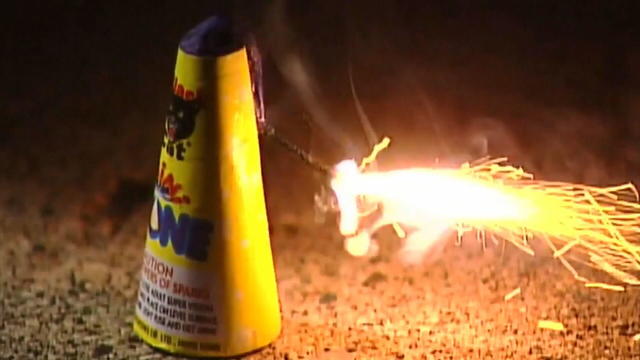 fireworks-animals-safety-5pkg-frame-1473.jpg 