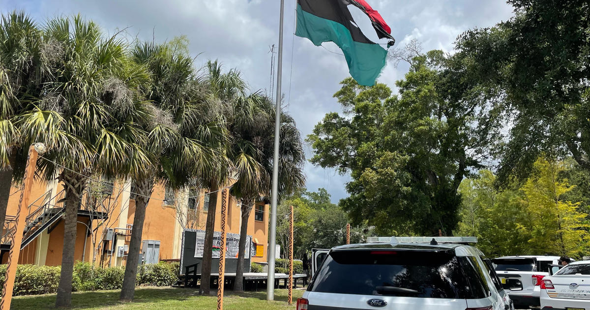 Flamethrower used to torch Pan-African flag flying on pole