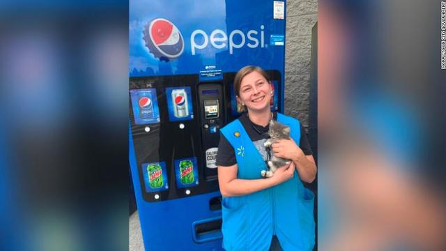 220703113520-kitten-rescued-pepsi-machine-tennessee-exlarge-169.jpg 