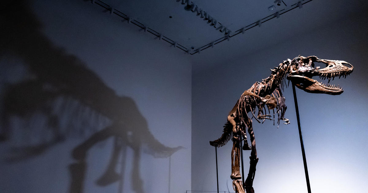 76 million-year-old dinosaur skeleton to be auctioned in New York City