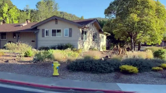 Drought-Tolerant Landscaping 