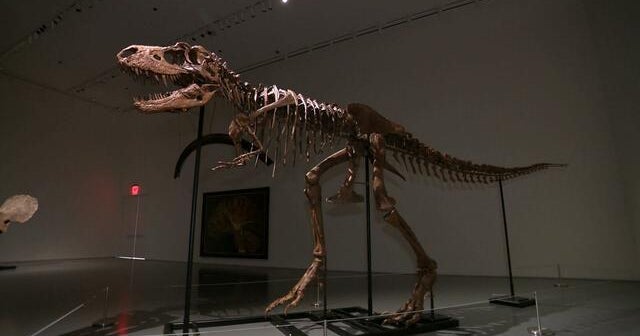 Scientists discover 240-million-year-old dinosaur that resembles a ...