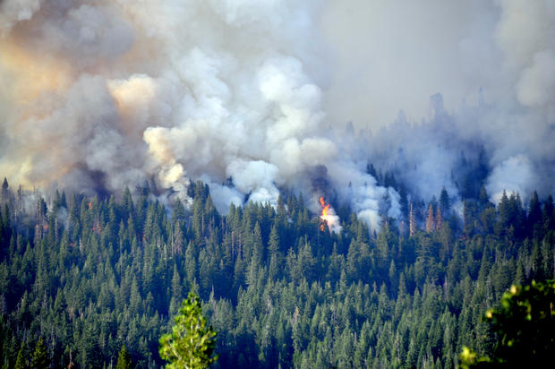 Wildfire in Yosemite National Park 