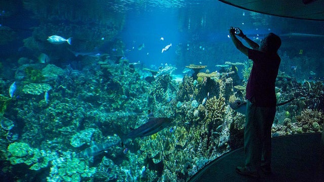 Views Of Baltimore As Home Flippers Make Quick Profits On Real Estate Investments 