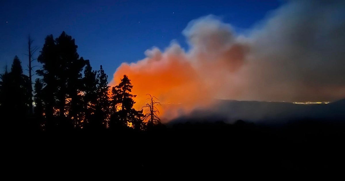 Firefighters use sprinkler system to protect some of California's oldest sequoia trees from raging wildfire at Yosemite National Park