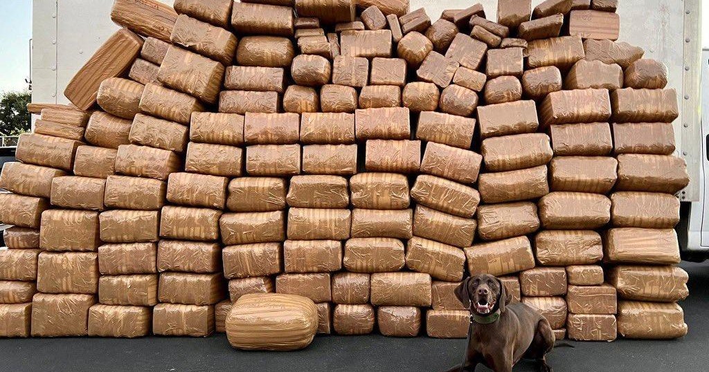 More than 5,000 pounds of methamphetamine found in record-breaking seizure in Southern California - Vimarsana News