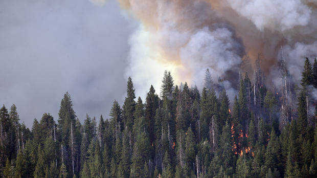 Wildfire in Yosemite National Park 