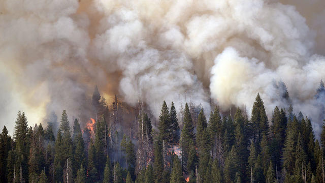 Wildfire in Yosemite National Park 