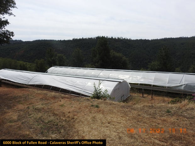 ILLEGAL MARIJUANA BUST 2- CALAVERAS CO SHERIFF 