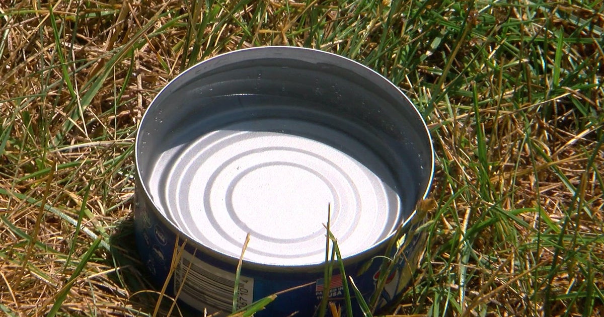 Yellow, crispy lawn got you down? Try this tuna can trick CBS Minnesota