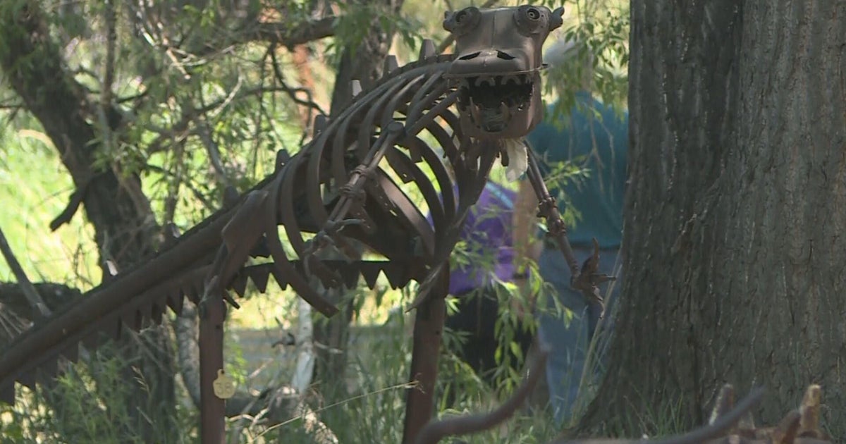 Colorado gem, Swetsville Zoo, prepares to close up shop - Vimarsana News