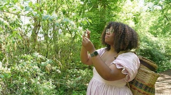 TikTok star inspires millions to learn how to forage food in the wild 