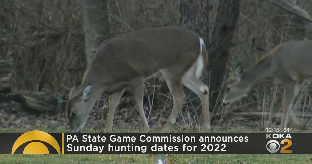 Game Commission announces Sunday hunting dates for 2022 CBS Pittsburgh