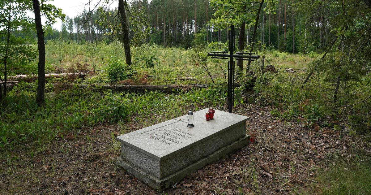 Prochy co najmniej 8000 osób zabitych przez nazistów podczas II wojny światowej znaleziono w dwóch masowych mogiłach w Polsce – mówią śledczy