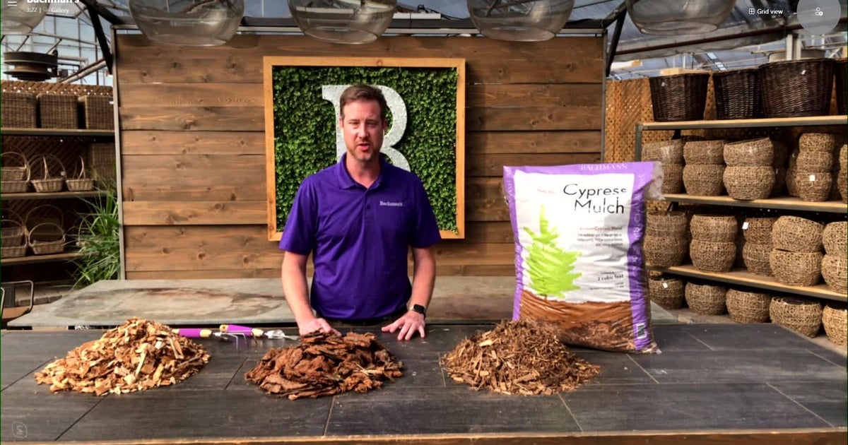 Tips for mulching around the house CBS Minnesota