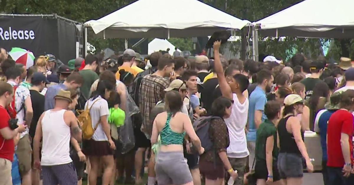 Festivals kickoff this weekend in the city and suburbs CBS Chicago