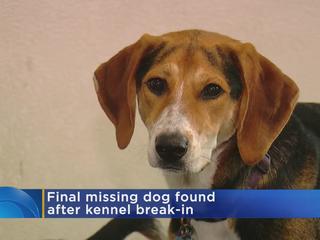 My heart sank: Man returns to Shakopee boarding kennel to find dog missing  - CBS Minnesota