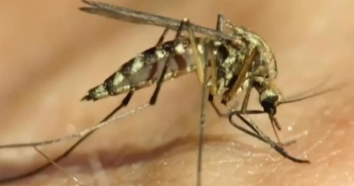 1st Human Case of West Nile Virus Reported by Maryland Division of Overall health in 2023